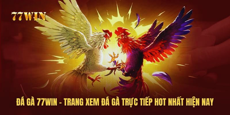 Những nhà phát hành nổi tiếng có tại đá gà 77win