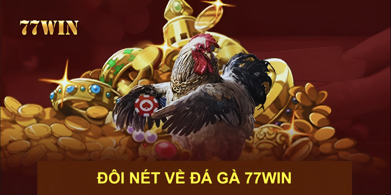 Sảnh đá gà 77win